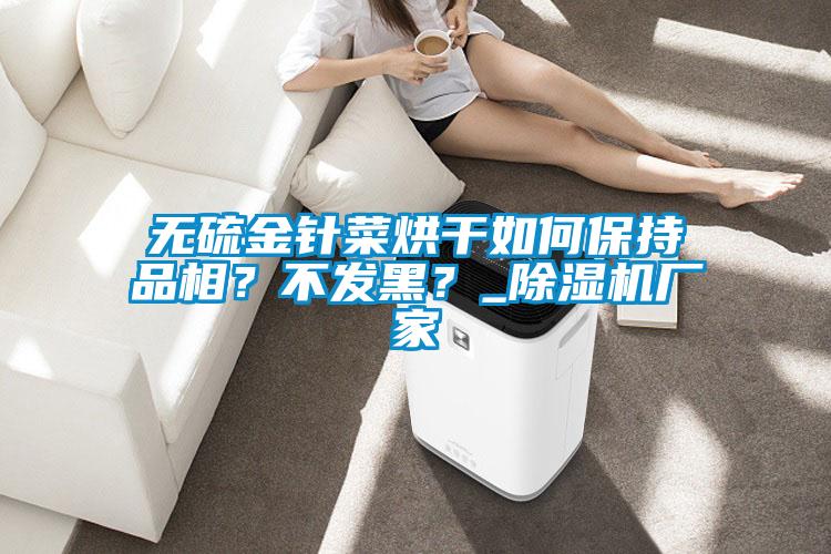 無硫金針菜烘干如何保持品相？不發黑？_除濕機廠家
