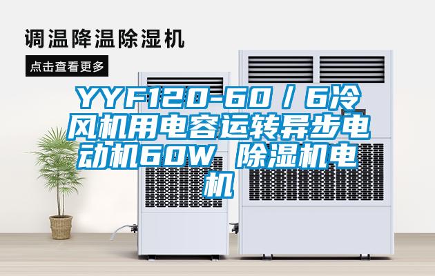 YYF120-60/6冷風(fēng)機(jī)用電容運(yùn)轉(zhuǎn)異步電動機(jī)60W 除濕機(jī)電機(jī)