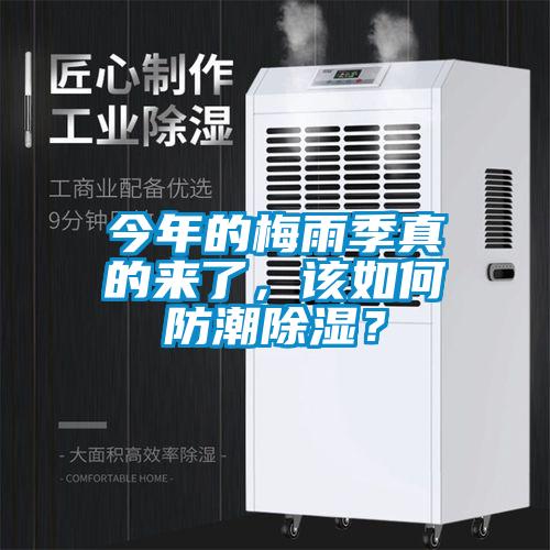 今年的梅雨季真的來(lái)了，該如何防潮除濕？