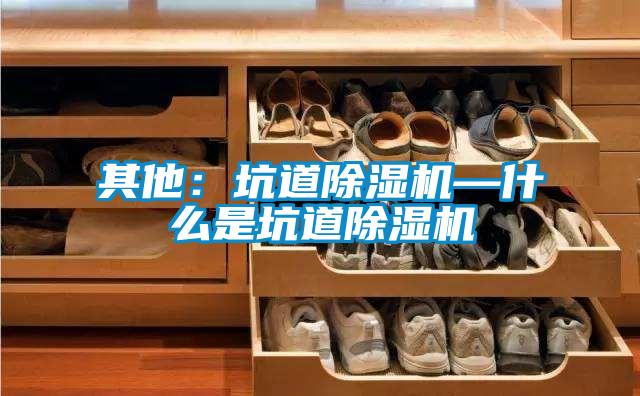 其他:坑道除濕機(jī)—什么是坑道除濕機(jī)