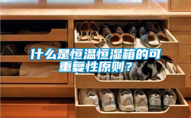 什么是恒溫恒濕箱的可重復性原則？
