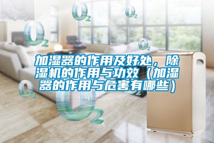 加濕器的作用及好處，除濕機的作用與功效（加濕器的作用與危害有哪些）