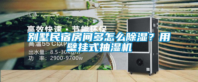 別墅民宿房間多怎么除濕?用壁掛式抽濕機