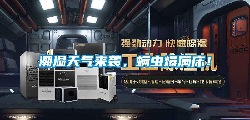 潮濕天氣來(lái)襲，螨蟲(chóng)爆滿床！