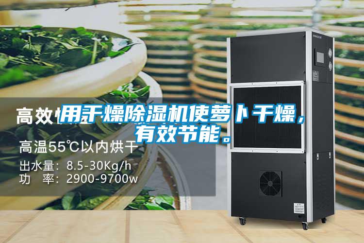 用干燥除濕機(jī)使蘿卜干燥，有效節(jié)能。