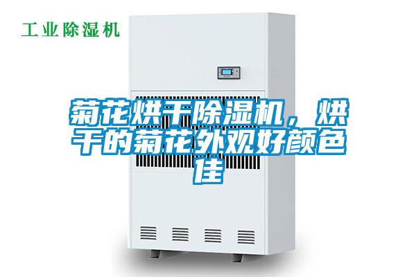 菊花烘干除濕機，烘干的菊花外觀好顏色佳