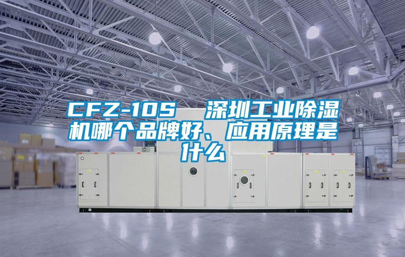 CFZ-10S  深圳工業除濕機哪個品牌好、應用原理是什么