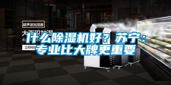 什么除濕機(jī)好？蘇寧：專業(yè)比大牌更重要