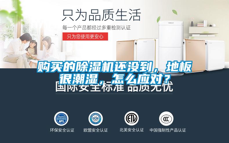 購(gòu)買(mǎi)的除濕機(jī)還沒(méi)到，地板很潮濕，怎么應(yīng)對(duì)？
