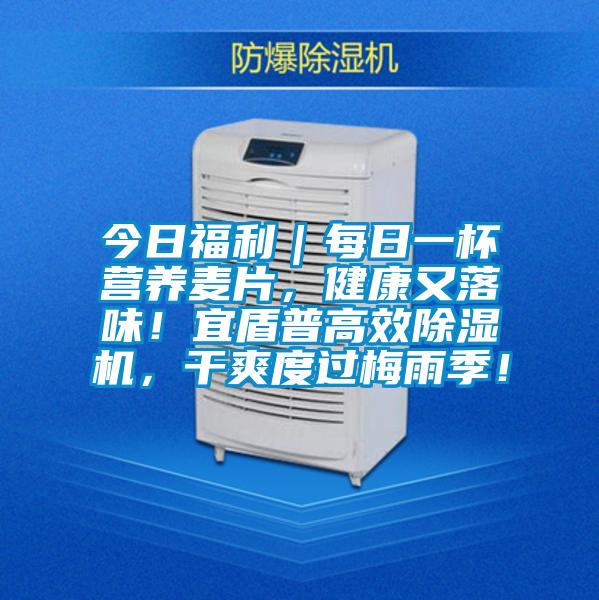 今日福利｜每日一杯營養麥片，健康又落味！宜盾普高效除濕機，干爽度過梅雨季！