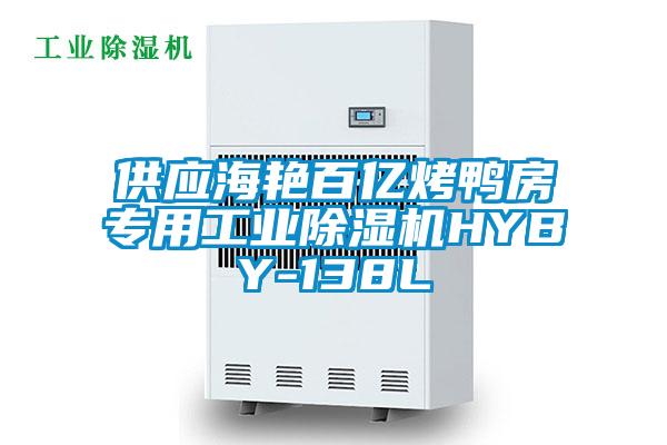 供應海艷百億烤鴨房專用工業除濕機HYBY-138L