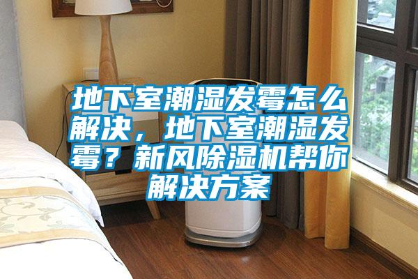 地下室潮濕發霉怎么解決,地下室潮濕發霉?新風除濕機幫你解決方案