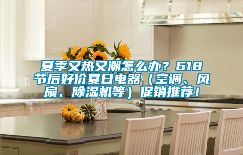 夏季又熱又潮怎么辦？618節(jié)后好價(jià)夏日電器（空調(diào)、風(fēng)扇、除濕機(jī)等）促銷(xiāo)推薦！