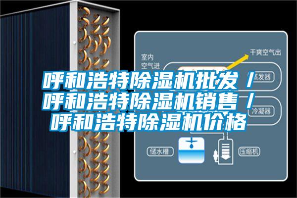 呼和浩特除濕機批發／呼和浩特除濕機銷售／呼和浩特除濕機價格