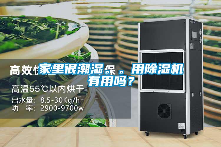 家里很潮濕。。用除濕機(jī)有用嗎？