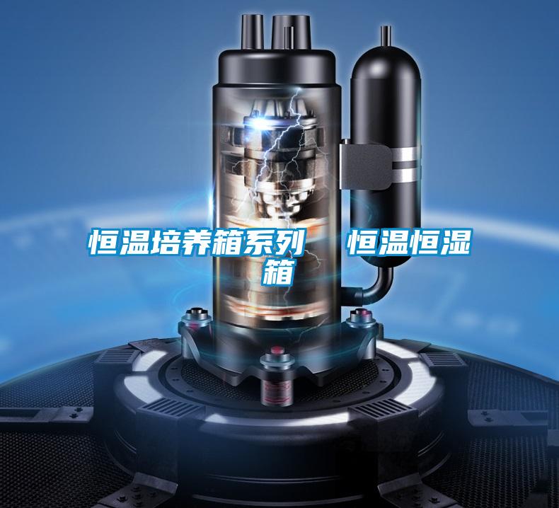 恒溫培養(yǎng)箱系列 恒溫恒濕箱
