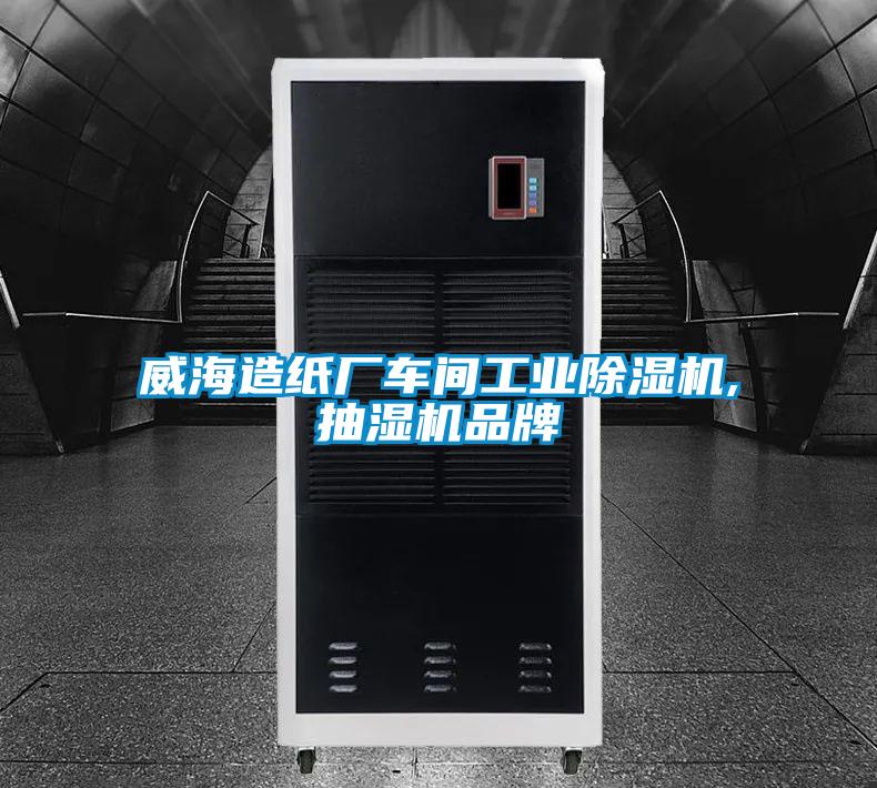 威海造紙廠車間工業(yè)除濕機,抽濕機品牌