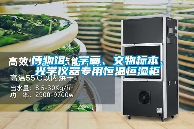 博物館、字畫、文物標本、光學儀器專用恒溫恒濕柜