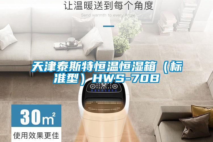 天津泰斯特恒溫恒濕箱(標(biāo)準(zhǔn)型)HWS-70B