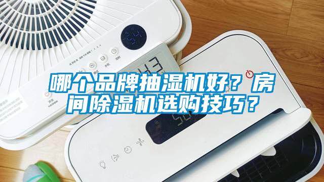 哪個品牌抽濕機好？房間除濕機選購技巧？
