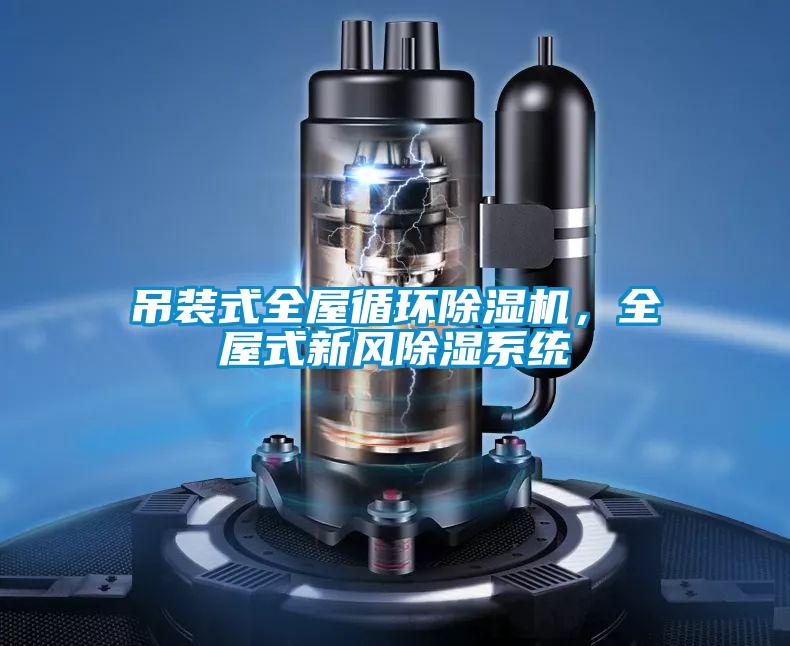 吊裝式全屋循環(huán)除濕機，全屋式新風除濕系統(tǒng)