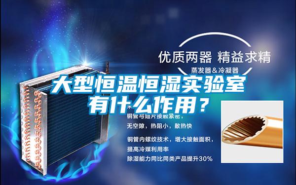 大型恒溫恒濕實驗室有什么作用？