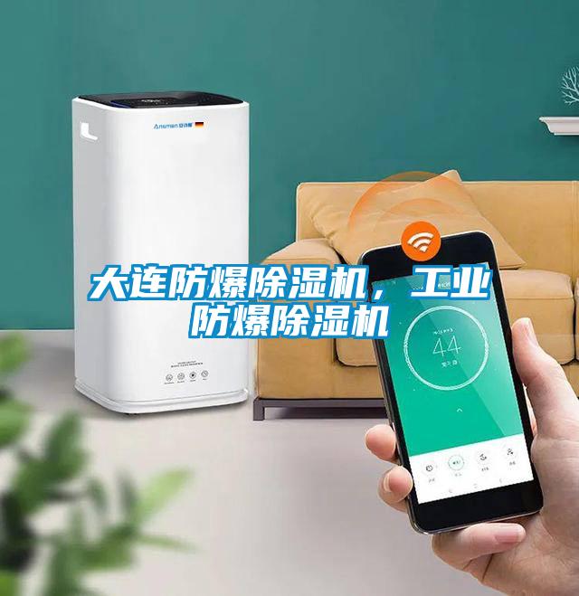 大連防爆除濕機,工業(yè)防爆除濕機
