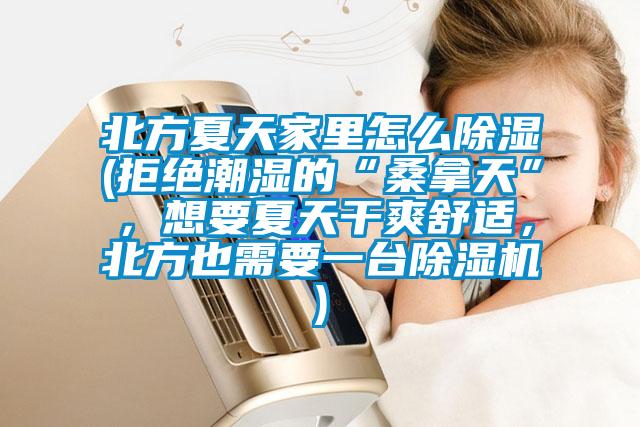 北方夏天家里怎么除濕(拒絕潮濕的“桑拿天”,想要夏天干爽舒適,北方也需要一臺(tái)除濕機(jī))