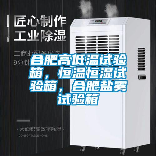 合肥高低溫試驗箱，恒溫恒濕試驗箱，合肥鹽霧試驗箱