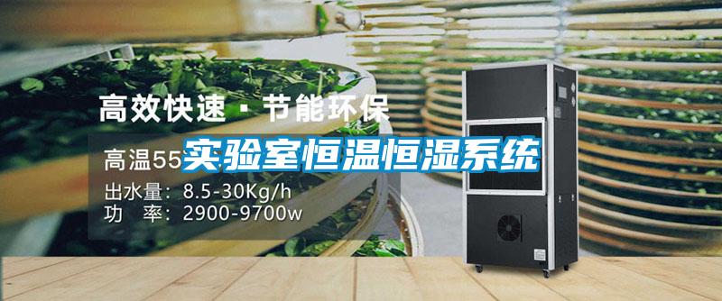 實驗室恒溫恒濕系統