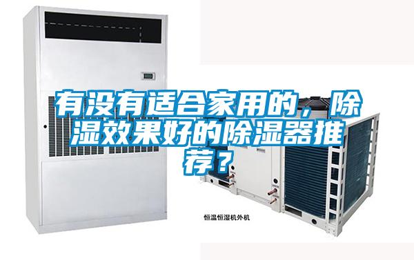 有沒有適合家用的，除濕效果好的除濕器推薦？