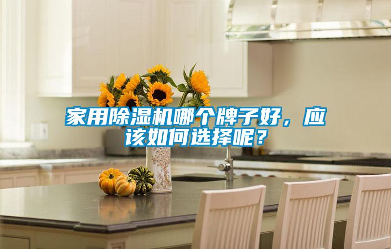 家用除濕機哪個牌子好，應該如何選擇呢？
