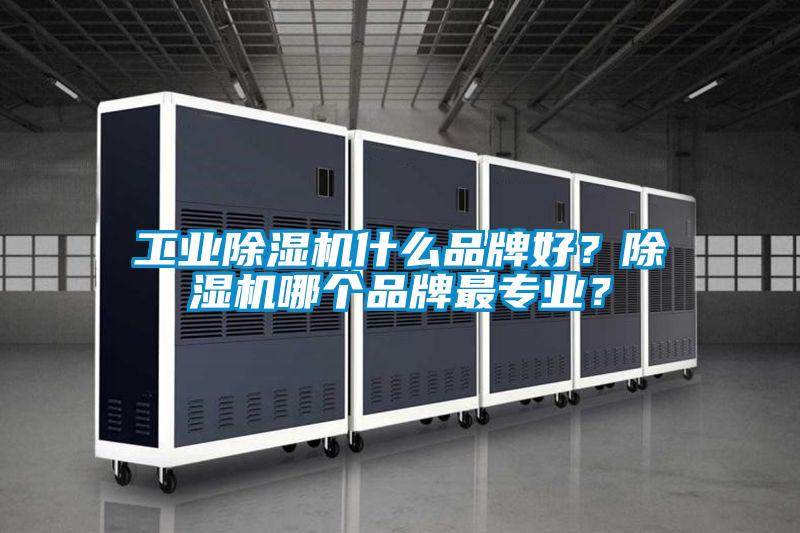 工業(yè)除濕機(jī)什么品牌好？除濕機(jī)哪個品牌最專業(yè)？