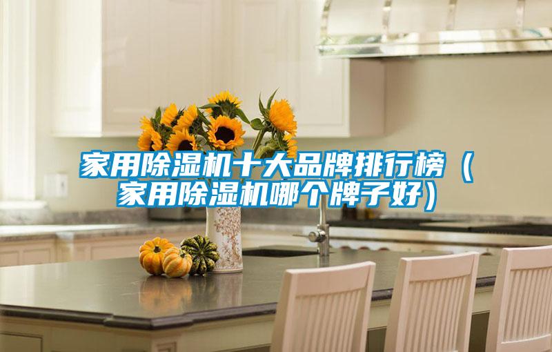 家用除濕機(jī)十大品牌排行榜(家用除濕機(jī)哪個(gè)牌子好)