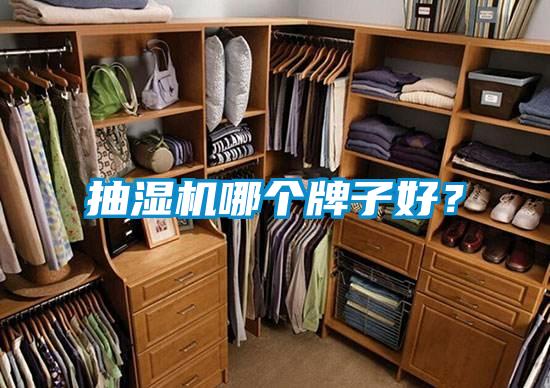 抽濕機哪個牌子好？