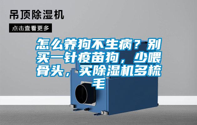 怎么養(yǎng)狗不生病？別買一針疫苗狗，少喂骨頭，買除濕機多梳毛