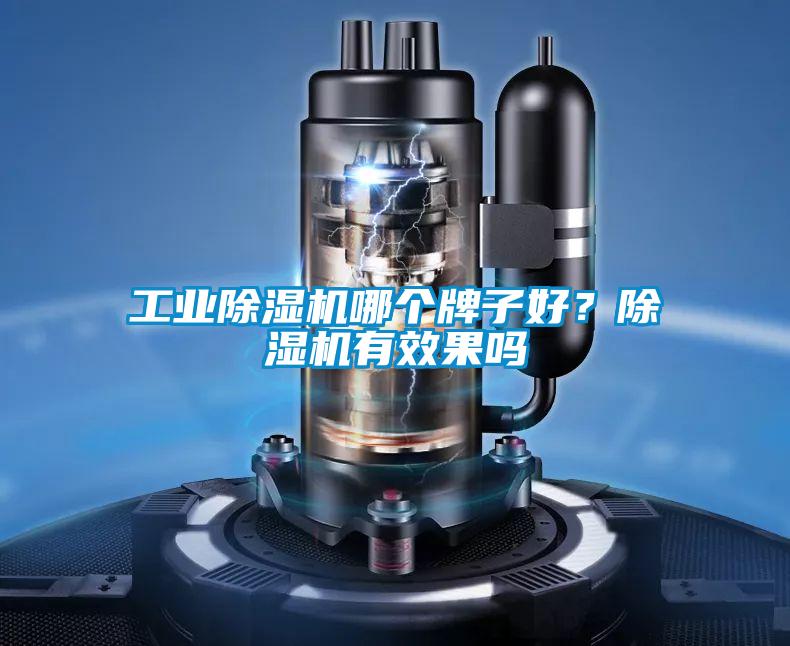 工業除濕機哪個牌子好？除濕機有效果嗎