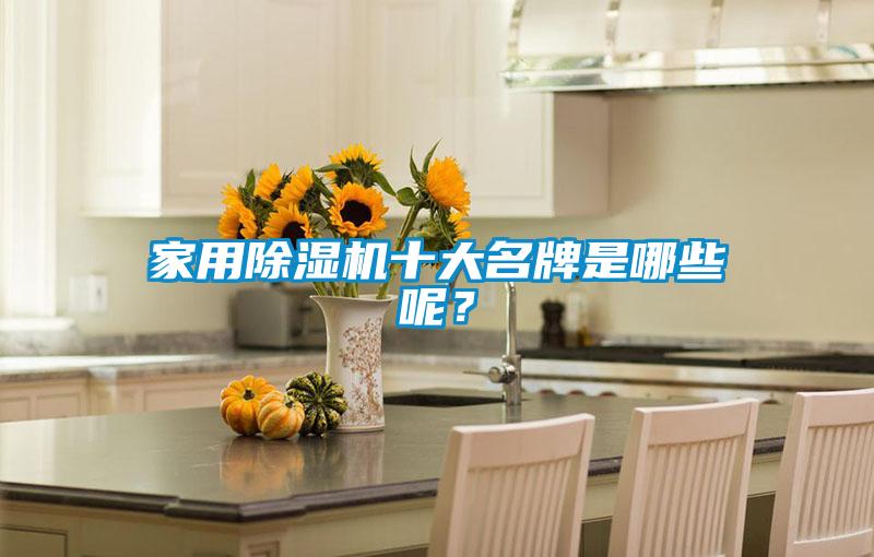 家用除濕機(jī)十大名牌是哪些呢？