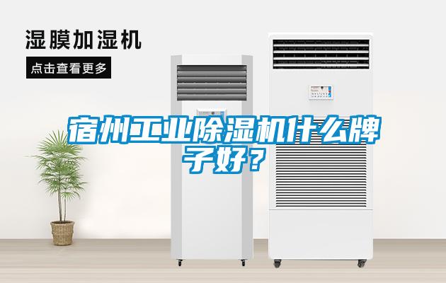 宿州工業除濕機什么牌子好？