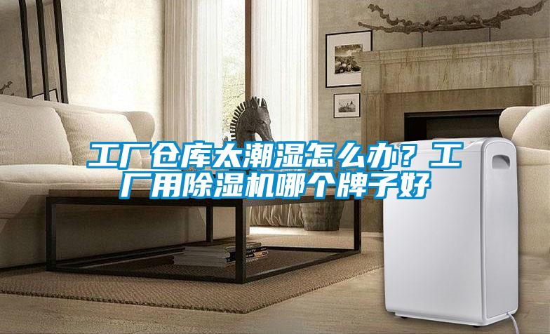 工廠倉(cāng)庫(kù)太潮濕怎么辦？工廠用除濕機(jī)哪個(gè)牌子好