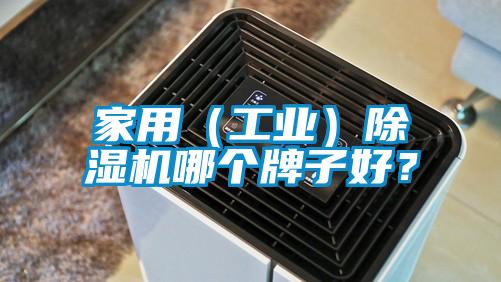 家用(工業(yè))除濕機哪個牌子好?