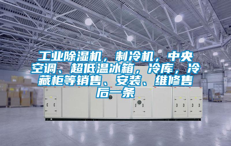 工業除濕機，制冷機，中央空調、超低溫冰箱，冷庫，冷藏柜等銷售、安裝、維修售后一條