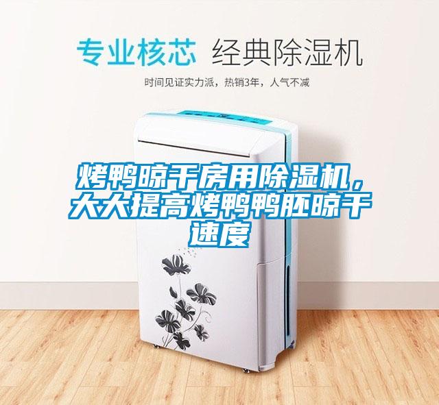 烤鴨晾干房用除濕機，大大提高烤鴨鴨胚晾干速度
