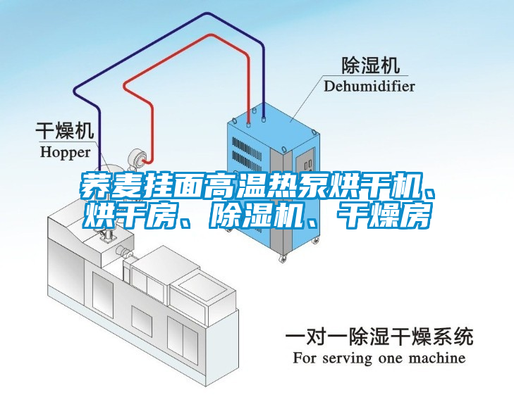 蕎麥掛面高溫?zé)岜煤娓蓹C(jī)、烘干房、除濕機(jī)、干燥房