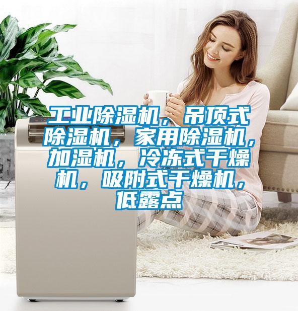 工業除濕機，吊頂式除濕機，家用除濕機，加濕機，冷凍式干燥機，吸附式干燥機，低露點