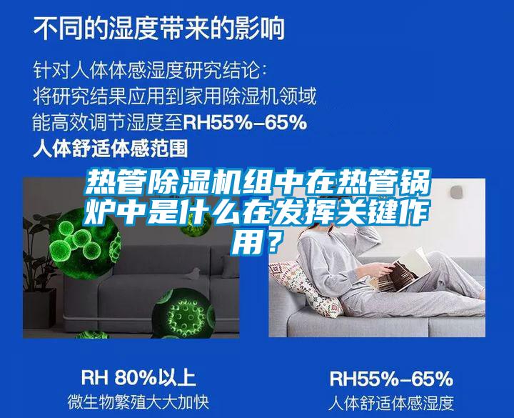 熱管除濕機組中在熱管鍋爐中是什么在發(fā)揮關鍵作用？