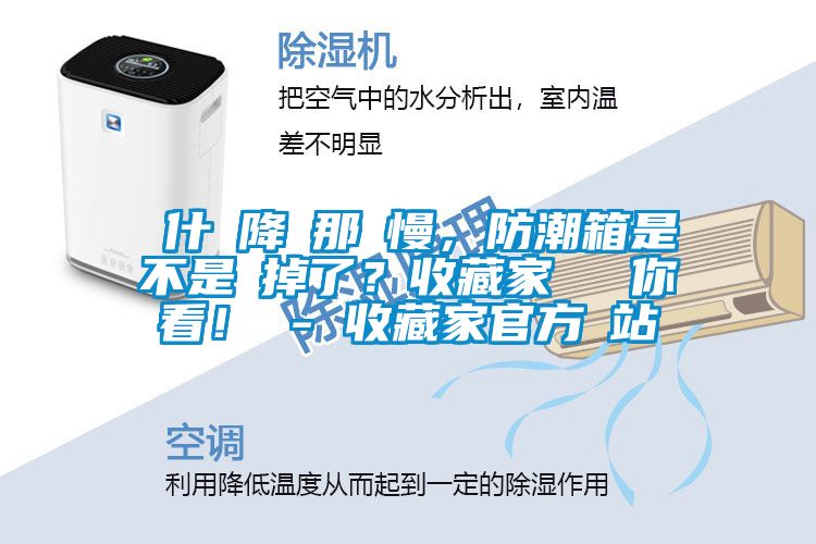 為什麼降濕那麼慢，防潮箱是不是壞掉了？收藏家實測給你看！ - 收藏家官方網站