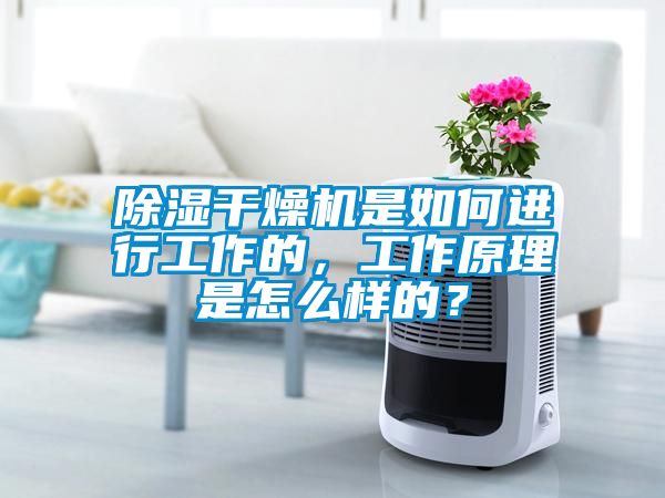 除濕干燥機是如何進行工作的，工作原理是怎么樣的？